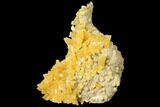 Fluorescent, Yellow Calcite Crystal Cluster - South Dakota #129703-1